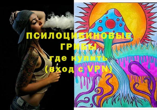 PSILOCYBIN Белоозёрский