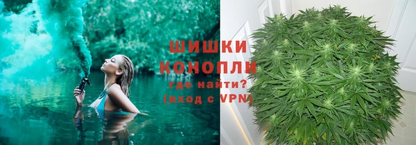 spice Белокуриха
