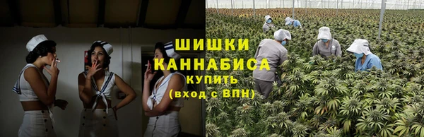 PSILOCYBIN Белоозёрский