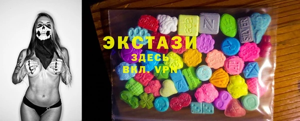 шишки Слюдянка