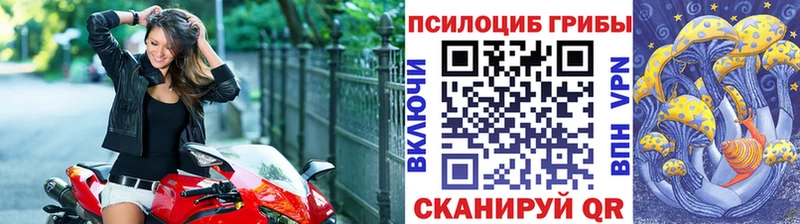 Галлюциногенные грибы Psilocybe  где купить   Севск 